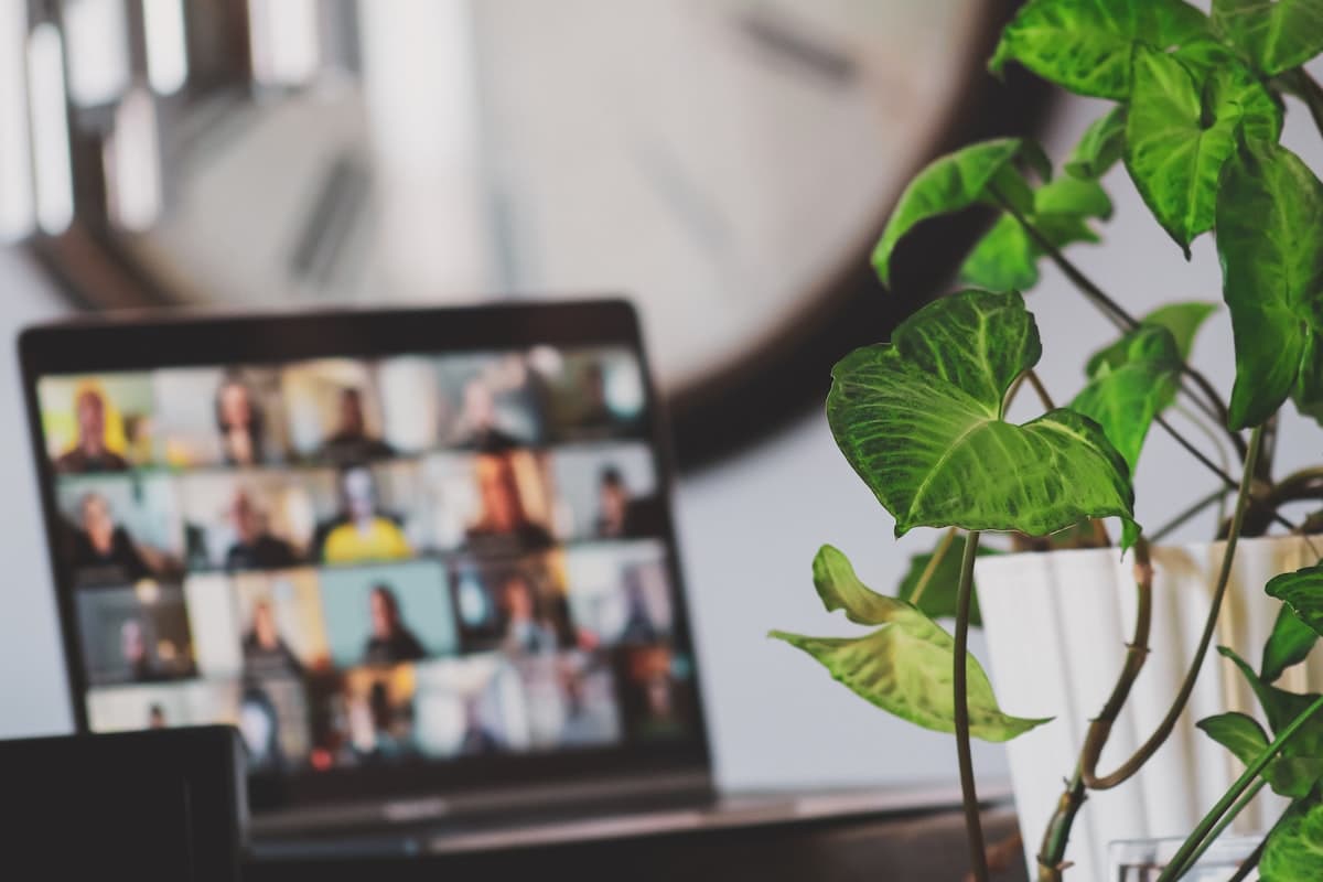 Laptop running a team meeting on a desk beside a plant